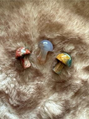 Crystal mushroom bundle